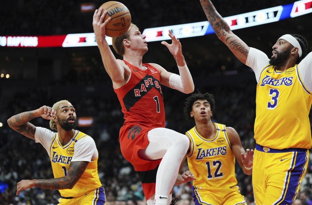 案例分析 案例分析