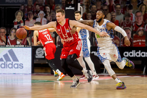 这位新星目 这位新星目